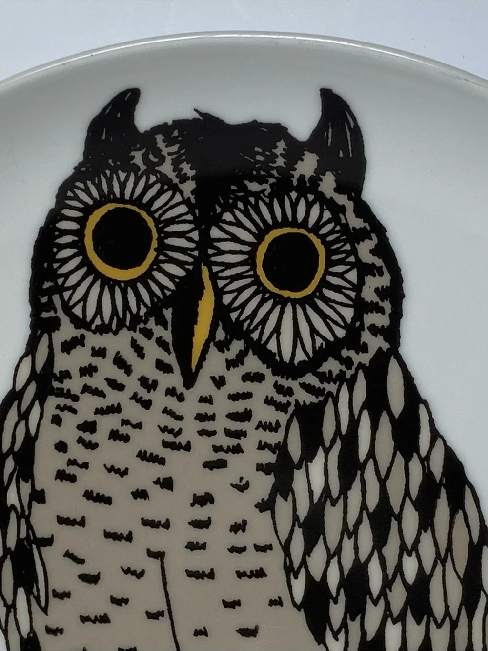 West Elm Owl Plate 8.5”Serving Art Drawing Display Bird Ceramic Birding EUC